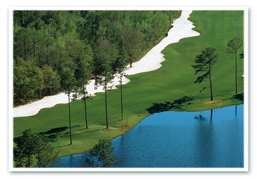 Golf course in Myrtle Beach